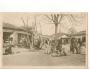 Shkodra Albánie Polní pošta prošlá r.1917 SV10/78