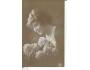 ŽENA-UMĚLECKÉ FOTO / r.1925 / M366-85