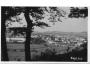 KAPLICE / r.1937 / M367-108