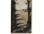 DAVIDOVA BOUDA /KRKONOŠE / r.1950 / M367-181