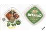 PT BERNARD - DŽBÁN NA PIVO