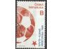ČR o Pof.1114 Sport - 1. derby Sparta Slavia /K
