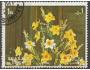 Sharjah o - flora - kytice narcisů /k25