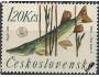 ČS **Pof.1520 Fauna - ryby /k26
