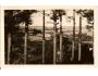 RYCHNOV NAD KNĚŽNOU /r.1937?*by24