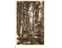 BOUBÍN - PRALES / ŠUMAVA /r1947*kc209