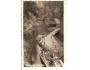 HŘENSKO /r1938?*AF=272