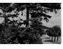 Krušné hory Komáří Vížka ***31907