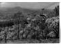 Krušné hory lanovka na Komáří Vížku °31909