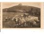 RADHOŠŤ KAPLE/OVCE/ BESKYDY/rok1930?*bf621