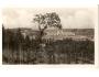 LÁZNĚ VELICHOVKY / NÁCHOD /rok1930?*bf672