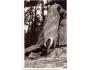 Trocnov pam. J.Žižky r.1949 okr. České Budějovice °53035