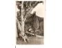MORÁVKA + SKALKA / FRÝDLANT n.O./BESKYDY/rok1937*bf1018