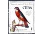 Kuba 1971 Pták Falco sparverius, Michel č.1733 raz.