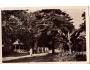 Bílina lázně park cca r.1953 okr.Teplice ***53446