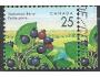 Kanada o Mi.1313-okraj - Flora - lesní plody