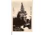 DEVĚT SKAL =ZKAMENĚLÝ ZÁMEK /ŽĎÁR n.SAZ. /rok1931?*BE319
