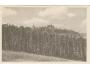 ŽATEC + CHMELNICE /rok1950?*BE4999