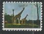 Umm Al Qiwain o - fauna /z6
