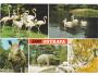 ZOO OSTRAVA =rok1960?*UF7961