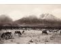 VYSOKÉ TATRY=ŠTÍTY+ KRÁVA =rok1947?*A8879