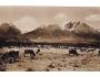 VYSOKÉ TATRY=ŠTÍTY+ KRÁVA =rok1946?*A8880