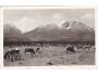 VYSOKÉ TATRY=ŠTÍTY+ KRÁVA =rok1946?*A8881