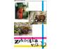 ZVÍŘÁTKA V ZOO PAPOUŠEK MEDVĚDI - PRESSFOTO *** 39538