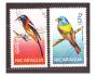 Nicaragua - pták, ptáci