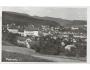 PODMOKLY NAD LABEM /r.1948 / M341-145