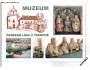 TACHOV MUZEUM ČESKÉHO LESA ***13138
