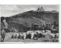 RADHOŠŤ-OVCE /BESKYDY / r.1934 / M369-79
