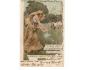 Reklamní - Matice školská prošlá r.1904 SV13/41