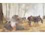 VOJÁK=ČERVENÝ KŘÍŽ č.396 / r.1914-18 / M370-64