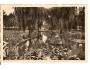 OSTRAVA + PARK /r1939?*fb411