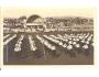 SOKOL SLET BRNO /r1914?*fb556