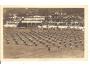 SOKOL SLET BRNO /r1914?*fb558