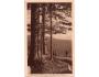 Šumava Boubín cesta k loveckému zámečku r.1931 ***53604E