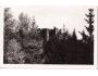 Šumava zřícenina hradu Helfenburk .r.1939 °53604U