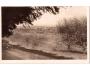 Šumava Lhenice cca r.1945 auto ok. Prachatice ***53607F