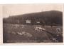 Šumava r.1925 rest. Vodolenka u Sušice krávy 9063 °53612R