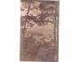 Šumava cca r.1920 Sušice od sv. Antoníčka 3904 ***53612Z