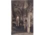 Šumava Klatovy cca r. 1920 děkanský chrám ***53613R