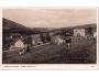 Šumava cca r.1925 Špičák u Železné Rudy krávy °53615T