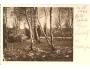 ONDŘEJNÍK ?/ KUNČICE p.O / BESKYDY /rok1935?*fa1105