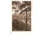 SUŠICE / ŠUMAVA /rok1948?*BE338