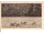 SRNKY NA PASECE /rok1933?*BE530