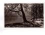 ŠUMAVA PLÖCKENSTEINER SEE FOTO J. SEIDEL č.3199 ***53789V