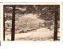 ŽELEZNÁ RUDA = ŠUMAVA /rok1949?*BE619