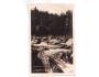 ŠUMAVA ŘEKA VYDRA č.1321 NÁKL. J. POSPÍCHAL 1924***53791P